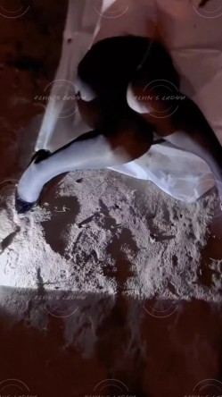 推特顶级大神【elc调教师】能肏能玩，各种模特网红女神滴蜡走绳喝尿露出羞耻训成母狗 截图15