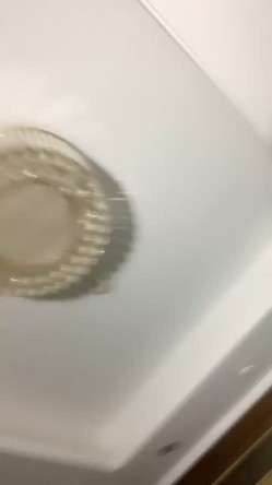 烈焰大红唇极品网红美女！热舞诱惑简直尤物！性感衬衣，翘起屁股大肥穴，搔首弄姿极度诱人 截图11