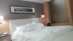 探花朗李寻欢_深夜网约苗条身材御姐，撕开黑丝镜头前舔B，女上位听话抬屁股自己动 截图15