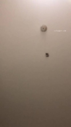 高端付费私密夫妻交换淫妻俱乐部内部分享视图作品 绿帽母狗调教啪啪大尺度无底线以淫为乐 截图15