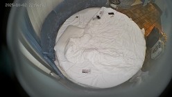 酒店偷拍 ️带着行李箱一块度假的学生情侣清纯学妹一开始很抗拒 被眼镜男友按倒床上一顿搞 截图15