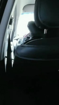 骚货小母狗，车上给金主口鸡巴，车外路人络绎不绝，车内锄禾日当午，干活儿不累！ 截图2