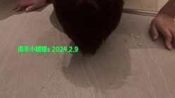 最新变态定制！空降全国大开眼界！极限重口女神【南京小姐姐S】圣水黄金外卖，圣水调教狗奴，对话粗暴淫荡 截图15