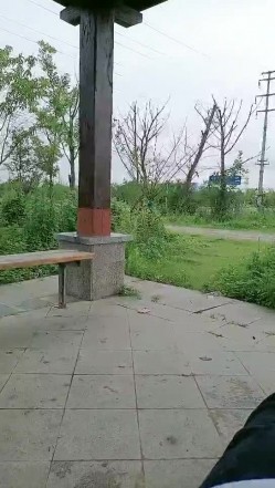 骚熟女户外公园真实勾搭小哥激情啪啪，逼里塞着跳蛋漏出奶子勾搭小哥，口交大鸡巴让小哥吃奶玩逼，激情车震 截图10
