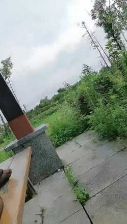 骚熟女户外公园真实勾搭小哥激情啪啪，逼里塞着跳蛋漏出奶子勾搭小哥，口交大鸡巴让小哥吃奶玩逼，激情车震 截图12