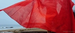 淫妻熟妇『Yseyo』奶大臀肥腰细 和大屌黑超群交淫乱 野外街道车震各种乱操 截图11