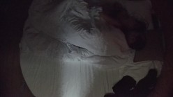 情趣台  一个地中海油腻大叔都能约到不错的少妇去酒店 看样子也是饥渴不少时间了 连打几炮 截图9