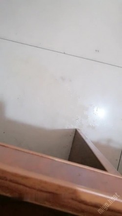 公司办公室女会计上班之余褕褕兼职果聊,桌下开档肉丝插入按摩棒,没少被老板干 截图11