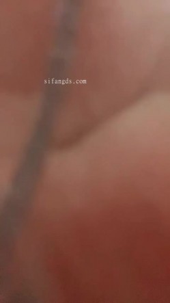 ️最新流出，熟女控必备！丝袜熟女团队【未知姓名3】丝袜无内骚穴特写 截图5