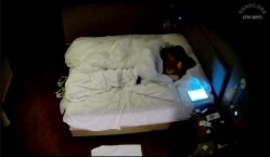 美女跪下含鸡巴还拍视频 刺激 美女这个蜜桃臀绝了 女上位时候的甩动是真耀眼好看 截图16