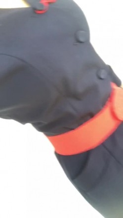 【真实空姐 ️稀缺航空】极品制服『空姐』反差婊私拍集 佳妮空姐多名女神接机啪啪 穿空姐制服做爱 截图4