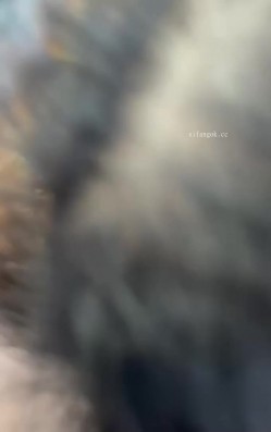 ️手法口活超级一流的骚嫂子偷情，野战车震啪啪，会所头牌的性技，看着就爽死人 截图15