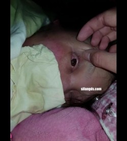国内大神真实死猪玩良家少妇，无意识爆操翻眼 截图16