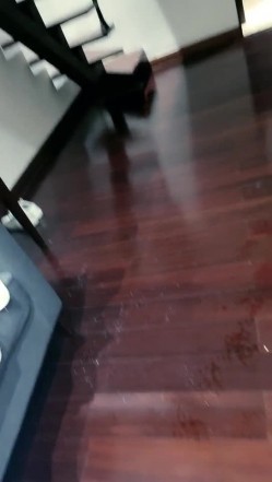 调教不听话的骚妇，全程露脸丝袜女仆情趣诱惑，各种舔鸡巴洗澡诱惑，主动上位爆草抽插，浪叫不断淫语连篇 截图2