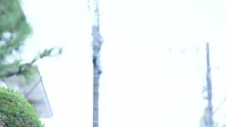 ADN-782 截图1