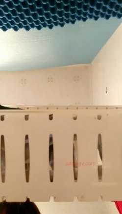 极品主播 重口味的白老师17小时20V直播合集 截图13