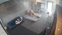 黑客破解家庭网络摄像头偷拍住毛坯房的年轻情侣疯狂做爱有时一天做爱几次 截图9
