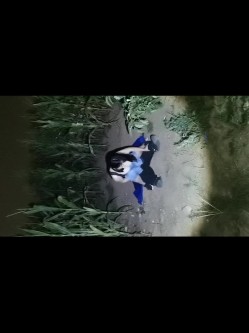 超爆巨乳女神『小婀娜』波涛汹涌来袭震撼性爱自拍流出 路边站炮后入速插 完美露脸 截图15