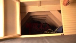 极品超强医生女S【北京神罚大人】长视频福利，极限调教责罚狗奴，马眼寸止榨精，各种花活儿 截图3