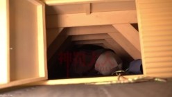 极品超强医生女S【北京神罚大人】长视频福利，极限调教责罚狗奴，马眼寸止榨精，各种花活儿 截图5