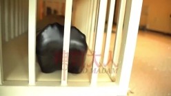 极品超强医生女S【北京神罚大人】长视频福利，极限调教责罚狗奴，马眼寸止榨精，各种花活儿 截图14