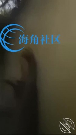 海神侄子爆肏嫂子6.0 小别租屋香艳偷情 好痒再用力点我快到了~完了完了你射里面了？真是服你了！ 截图6