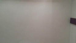 云盘高质露脸泄密！东北极品母狗【王露】性爱真实自拍，口活秒杀会所头牌，女上位全速扭动，太骚了 截图8