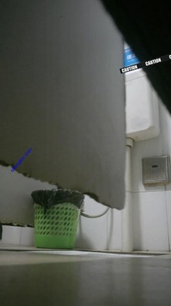 大型购物中心内部女厕偷拍 多位黑丝美女店员的各种极品美鲍鱼 截图16