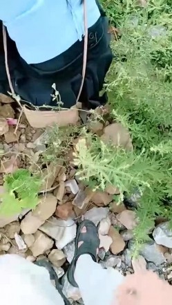 【钢炮寻爱】 户外车震~沟搭人妻熟女催情药无套内射 截图6