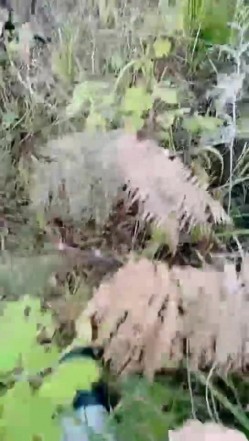 【钢炮寻爱】 户外车震~沟搭人妻熟女催情药无套内射 截图14