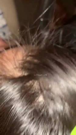 淫妻3P群P自慰露出尿脸,【双面夫妻_0575妓啪啪】,反差都市丽人，约单男交换 截图9