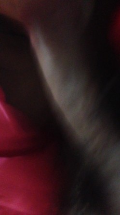 【经典流出】极品骚情良家少妇啪啪的日常流出，各式制服诱惑，口技一流 截图10