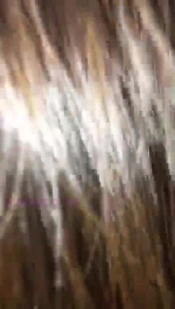 前香港小姐兰妮和神秘土豪啪啪私密视讯被曝光 截图2