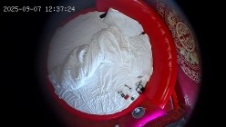 酒店情趣电动床上帝视角偷拍 年轻情侣三天干连续干了很多次 累了饿了就点外卖睡觉14小时完整版 截图9