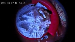 酒店情趣电动床上帝视角偷拍 年轻情侣三天干连续干了很多次 累了饿了就点外卖睡觉14小时完整版 截图10