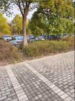 推特万众瞩目网红露出调教天花板【J神】私拍第十一弹~粉屄女神露出群P双洞开发灌肠各种无底线玩弄 截图1