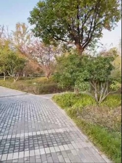 推特万众瞩目网红露出调教天花板【J神】私拍第十一弹~粉屄女神露出群P双洞开发灌肠各种无底线玩弄 截图3