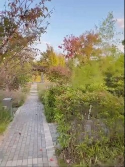 推特万众瞩目网红露出调教天花板【J神】私拍第十一弹~粉屄女神露出群P双洞开发灌肠各种无底线玩弄 截图4