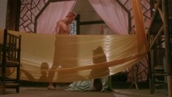 玉蒲团之偷情宝鉴[1991][Sex and Zen]粤语 截图4