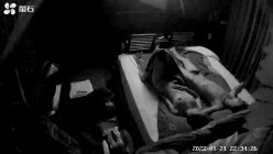 小情侣带一盒套住两天爽了两天搞了好几次妹子身材高挑大长腿活儿好尤其是女上位浪叫声和表情反差好大 截图12