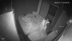 黑客破解家庭网络摄像头偷拍口活不错的年轻夫妻日常性生活喜欢六九式 截图7