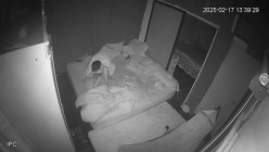 黑客破解家庭网络摄像头偷拍口活不错的年轻夫妻日常性生活喜欢六九式 截图11