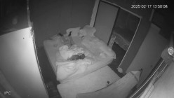 黑客破解家庭网络摄像头偷拍口活不错的年轻夫妻日常性生活喜欢六九式 截图14