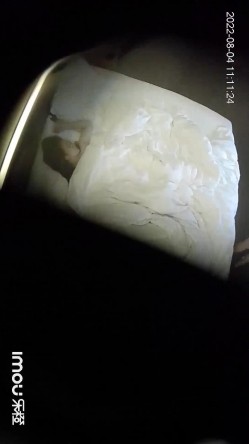 最新乐橙酒店偷拍 ️几对男女开房啪啪男的给女炮友舔逼 截图8