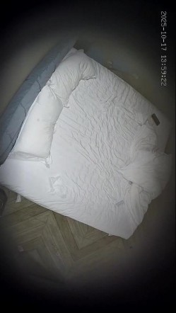 酒店偷拍 年轻情侣开房小哥开干前先给漂亮女友拍个淫照口爆后入不能少 截图1