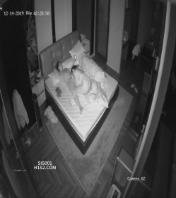 家庭摄像头史诗级破解偷拍！无敌爆乳超美少妇和老公4个月日常做爱全都录下来 截图11