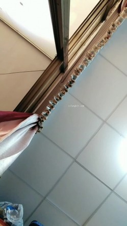 “鸡巴好硬~我要来高潮了”对话超淫荡，顶级骚母狗大奶妖媚【雪儿】群福利，户外车震3P淫声浪语骚得离谱 截图3