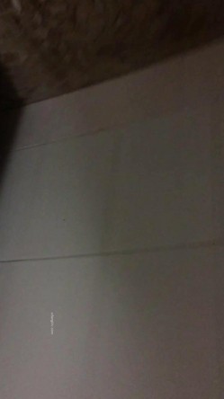 《台湾情侣泄密》可爱又听话的小女友还有点害羞 截图11