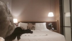 探花郎李寻欢 高级名媛 截图16