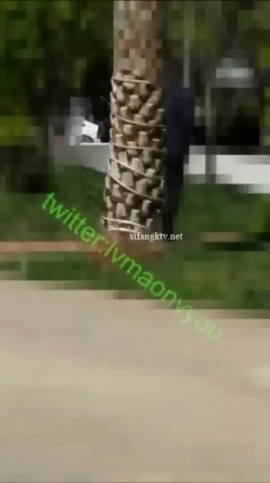 重磅炸弹！万人求档高门槛梦幻联动，顶级绿帽网红大咖联手【绿帽女友+你的大婊姐】私拍，当着男友的面给戴绿帽子 截图13